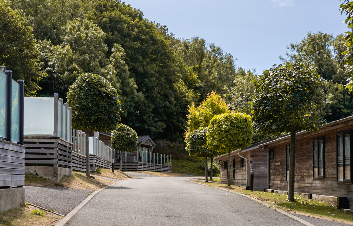 A road on a lodge park with trees and lodges on a sunny, blue sky day