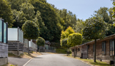 A road on a lodge park with trees and lodges on a sunny, blue sky day