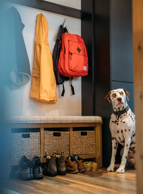 Dog sat waiting patiently by coats and shoes looking expectantly at owners behind the camera