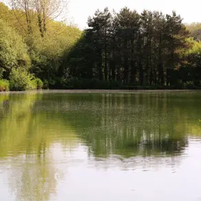 A tranquil lake among woodland and countryside with reflections of the green surroundings
