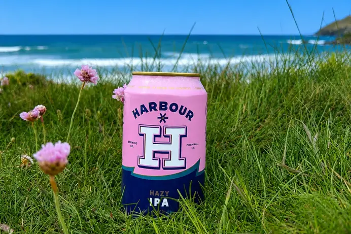A harbour hazy IPA among grass with the sea in the background