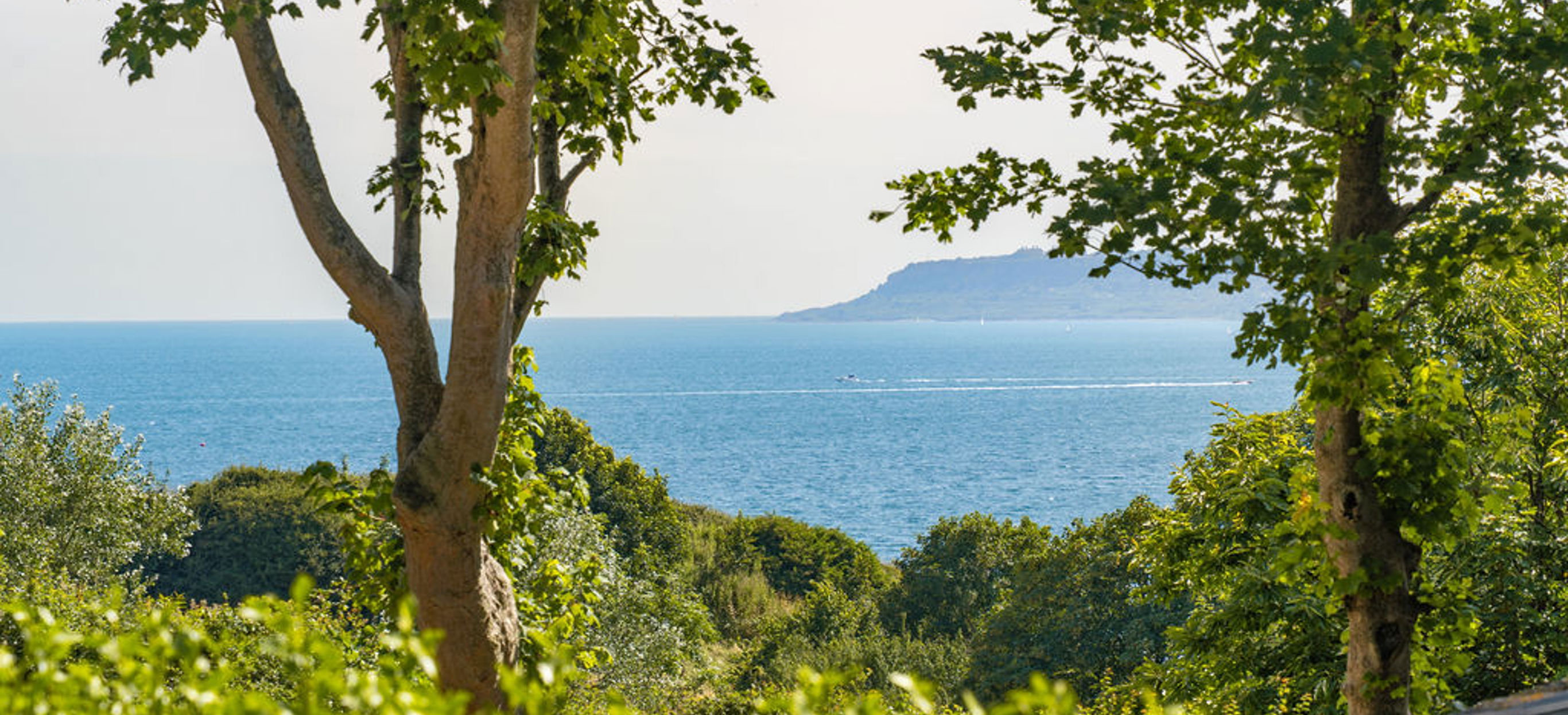 View of Portland through trees from Osmington Mills Lodge Park