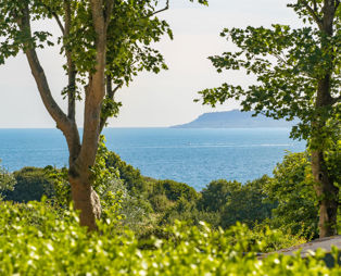 View of Portland through trees from Osmington Mills Lodge Park