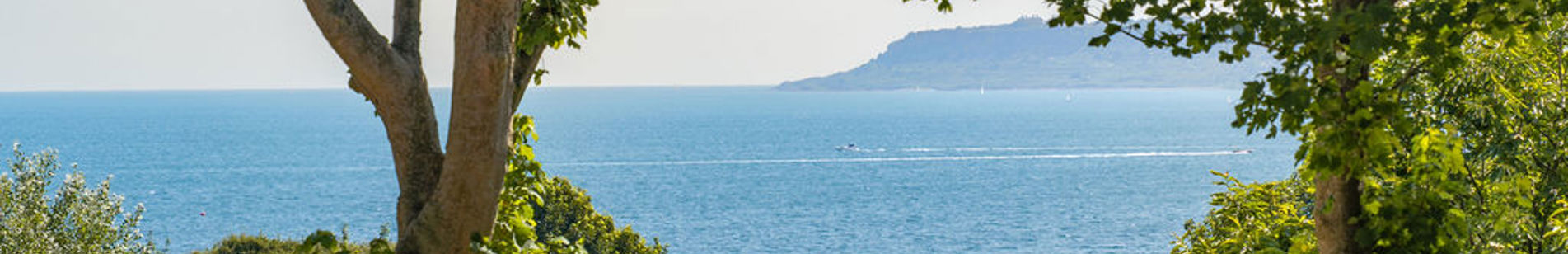 View of Portland through trees from Osmington Mills Lodge Park