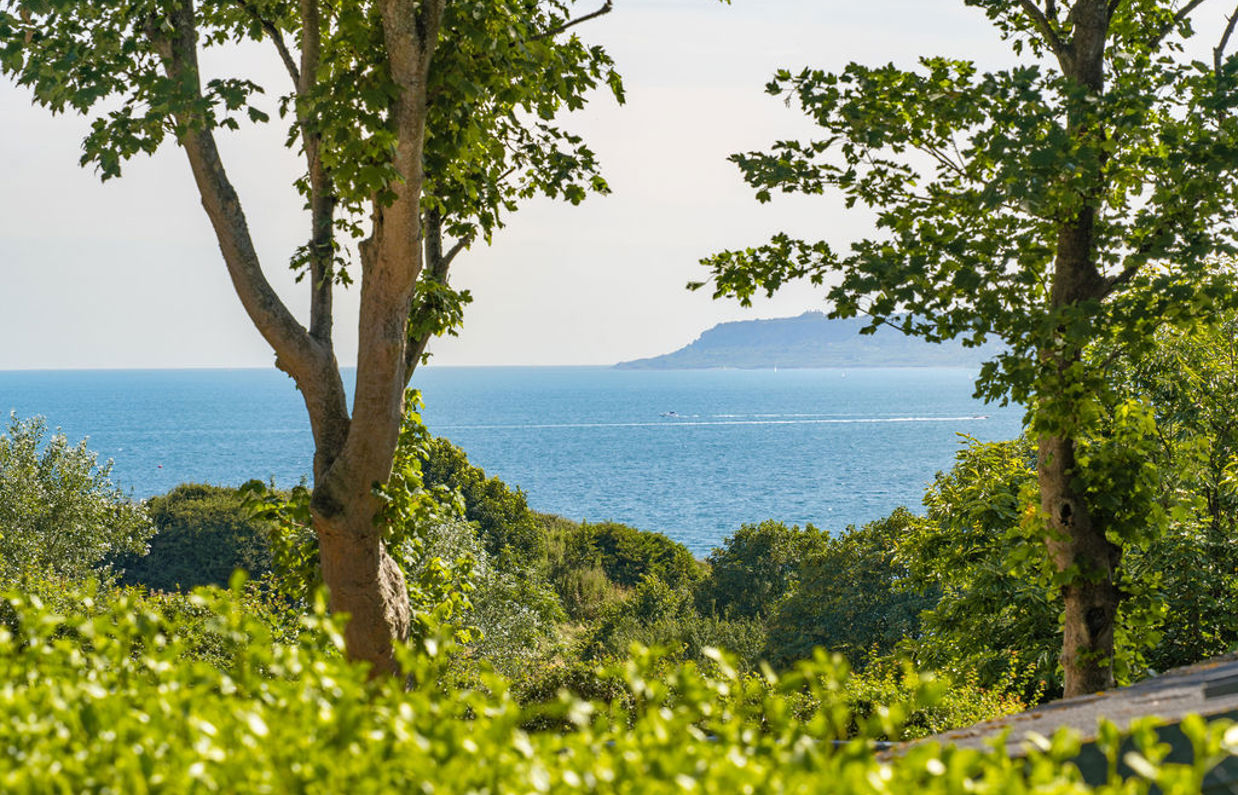 View of Portland through trees from Osmington Mills Lodge Park