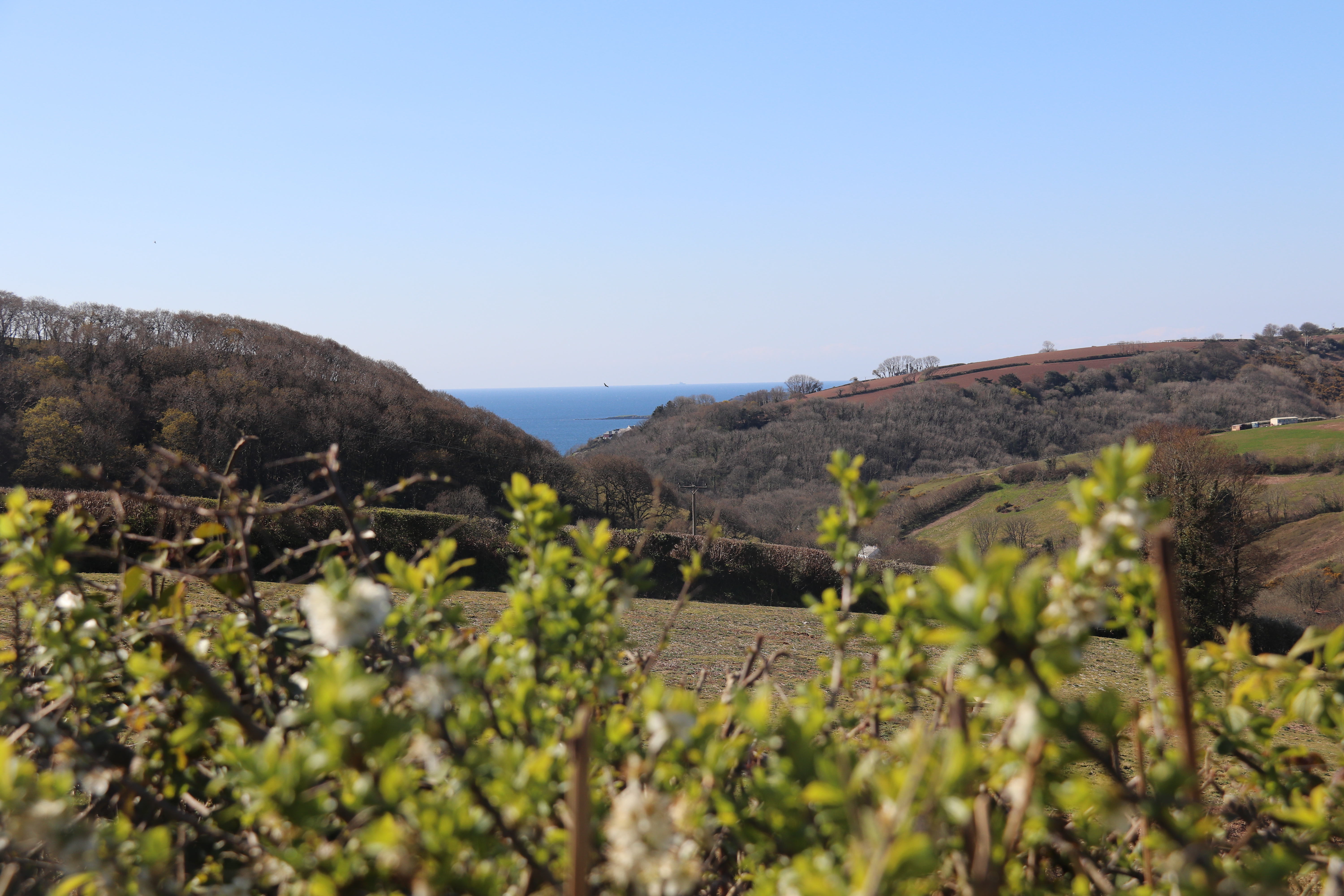 Tregoad Valley Views