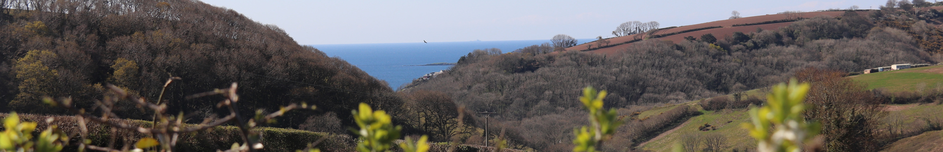 Tregoad Valley Views