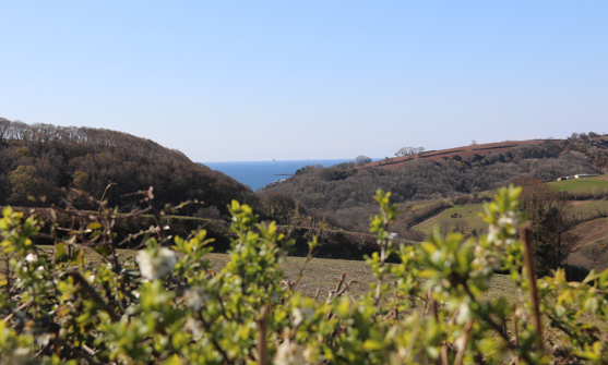 Tregoad Valley Views