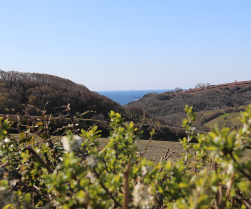 Tregoad Valley Views