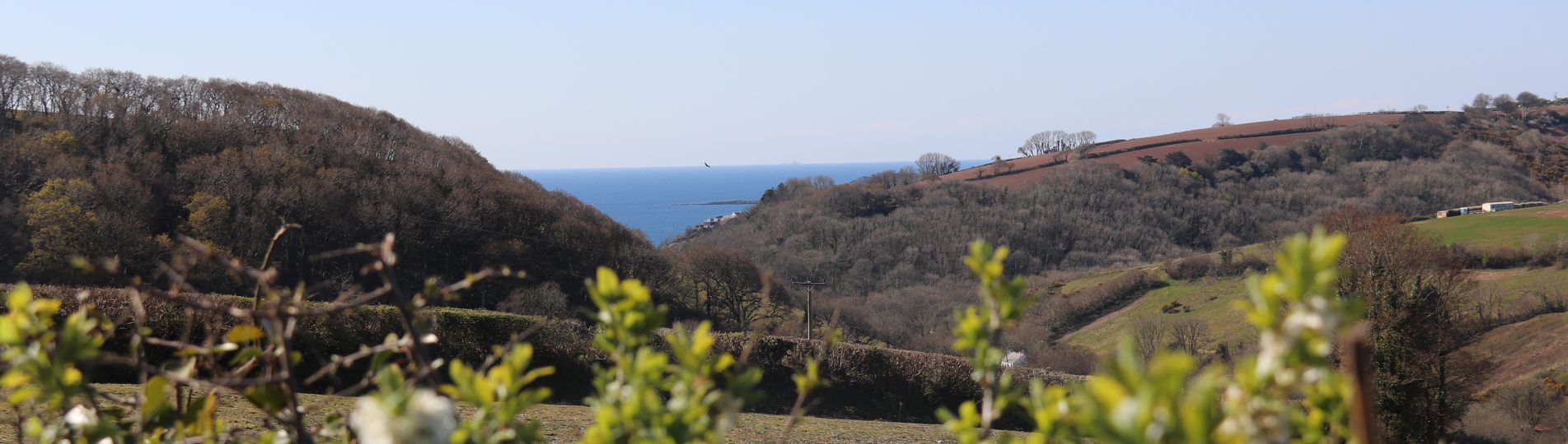 Tregoad Valley Views