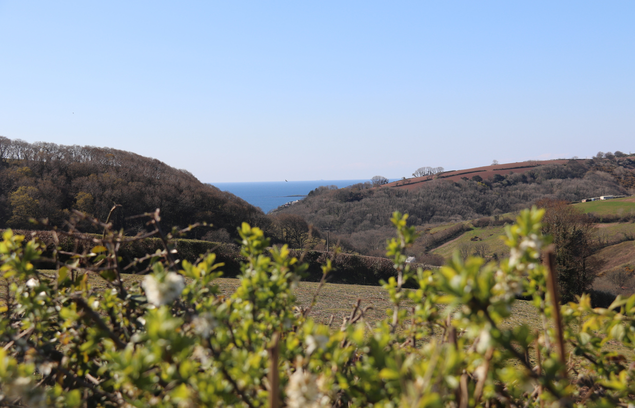 Tregoad Valley Views