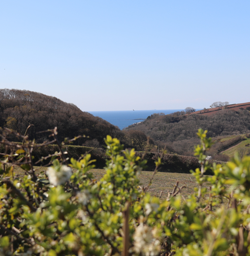 Tregoad Valley Views