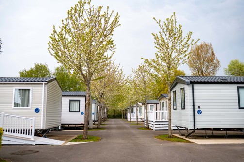 A row of caravans on a caravan park surrounded by trees