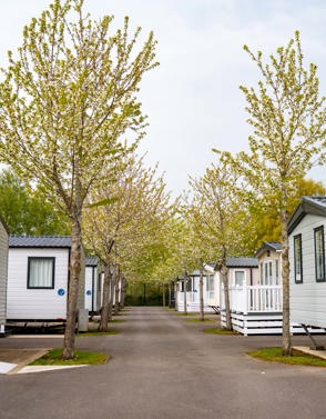 A row of caravans on a caravan park surrounded by trees