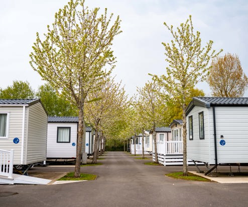 A row of caravans on a caravan park surrounded by trees