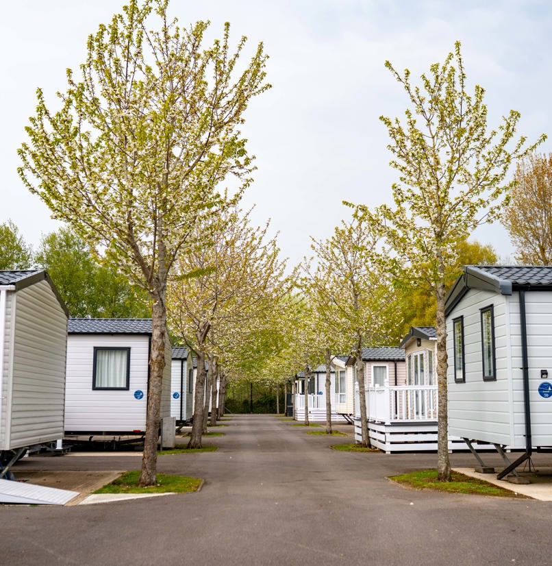 A row of caravans on a caravan park surrounded by trees