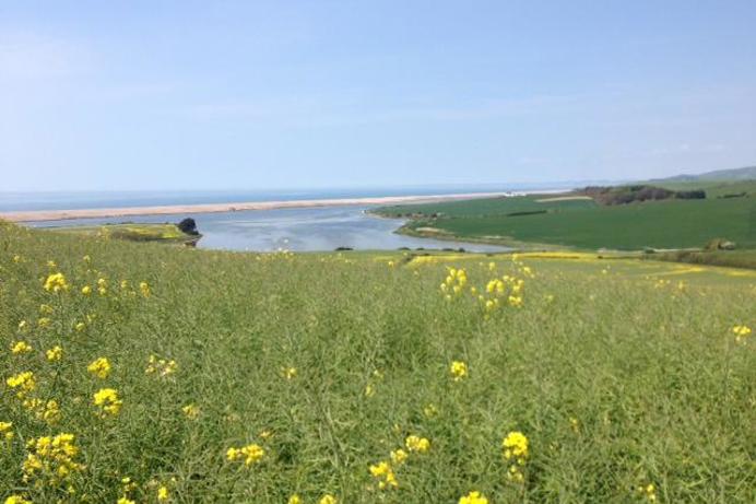 View of Chesil Beach and Fleet Lagoon surrounded by meadows and fields