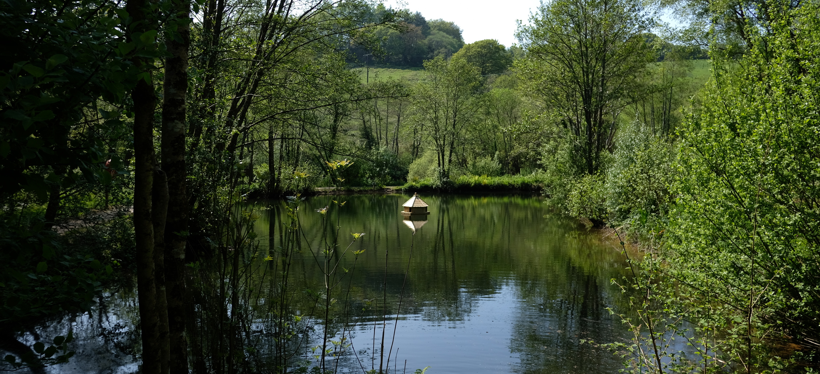 A tranquil lake among woodland and countryside with an animal habitat in the centre