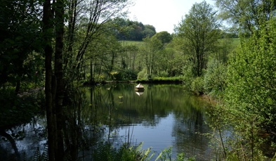 A tranquil lake among woodland and countryside with an animal habitat in the centre