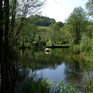 A tranquil lake among woodland and countryside with an animal habitat in the centre