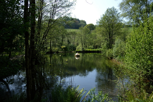 A tranquil lake among woodland and countryside with an animal habitat in the centre