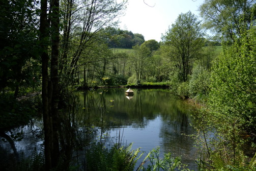 A tranquil lake among woodland and countryside with an animal habitat in the centre