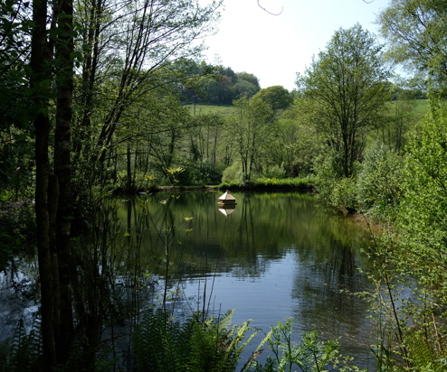 A tranquil lake among woodland and countryside with an animal habitat in the centre