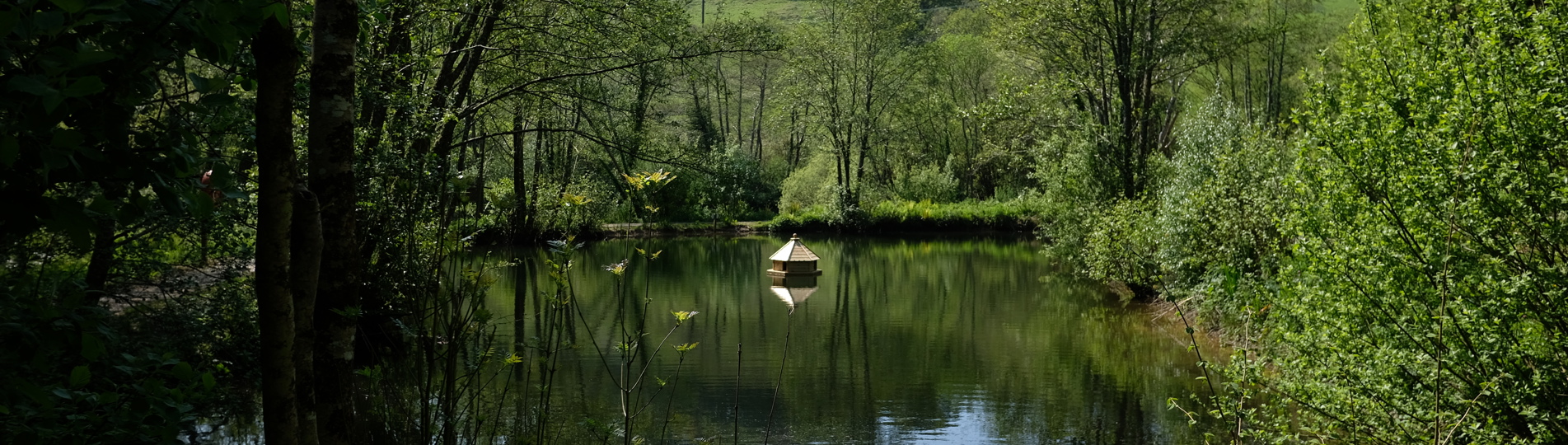 A tranquil lake among woodland and countryside with an animal habitat in the centre