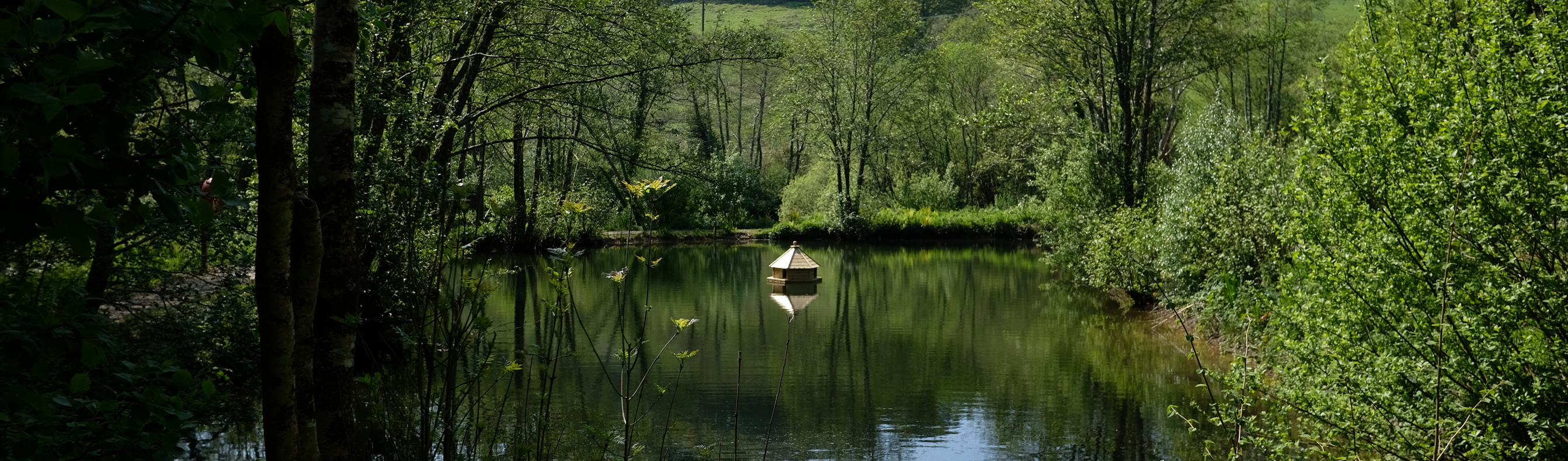 A tranquil lake among woodland and countryside with an animal habitat in the centre