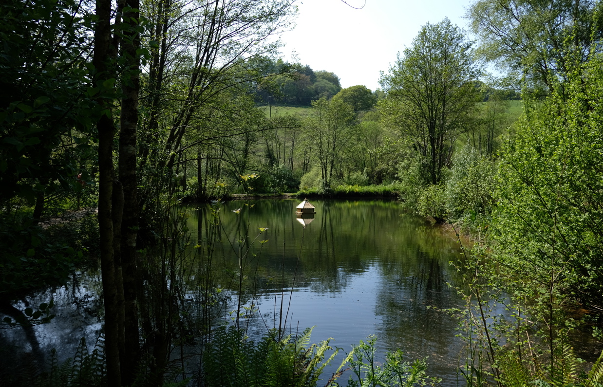 A tranquil lake among woodland and countryside with an animal habitat in the centre