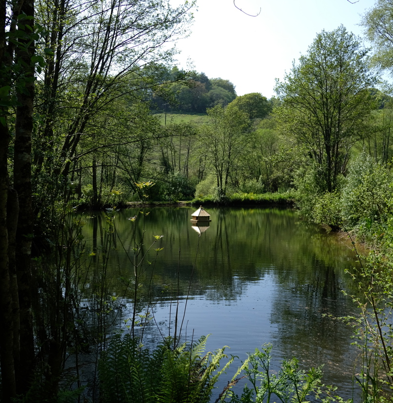 A tranquil lake among woodland and countryside with an animal habitat in the centre