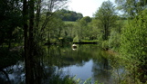 A tranquil lake among woodland and countryside with an animal habitat in the centre