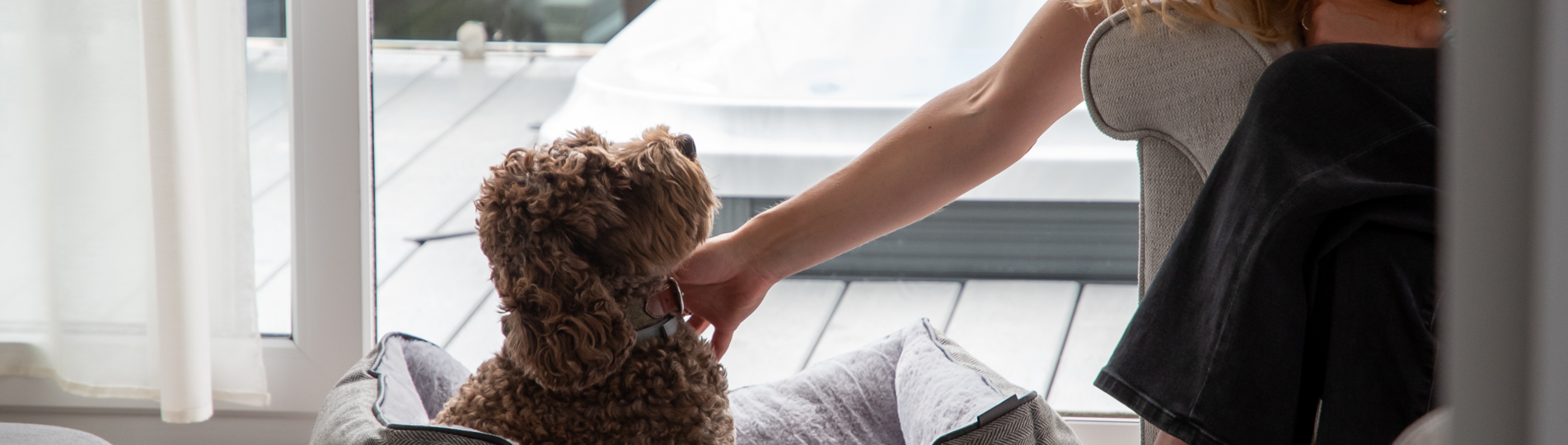 A brown fluffy dog sat in a dog bed in a caravan beside a woman sat in an armchair who is reaching out to stroke them