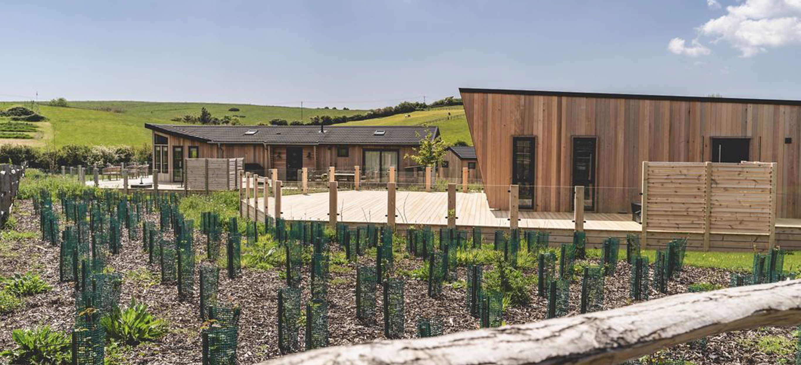 Exterior of a Super Lodge surrounded by Wildflowers and Rolling Hills