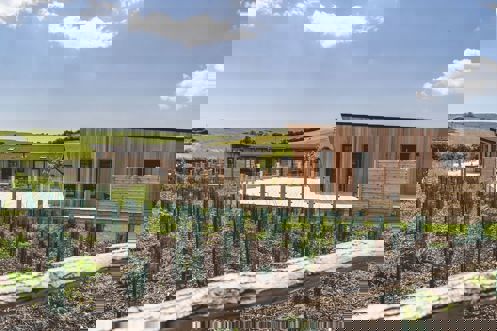 Exterior of a Super Lodge surrounded by Wildflowers and Rolling Hills