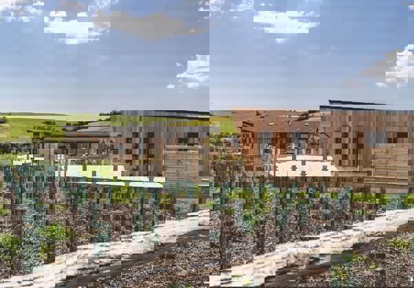 Exterior of a Super Lodge surrounded by Wildflowers and Rolling Hills