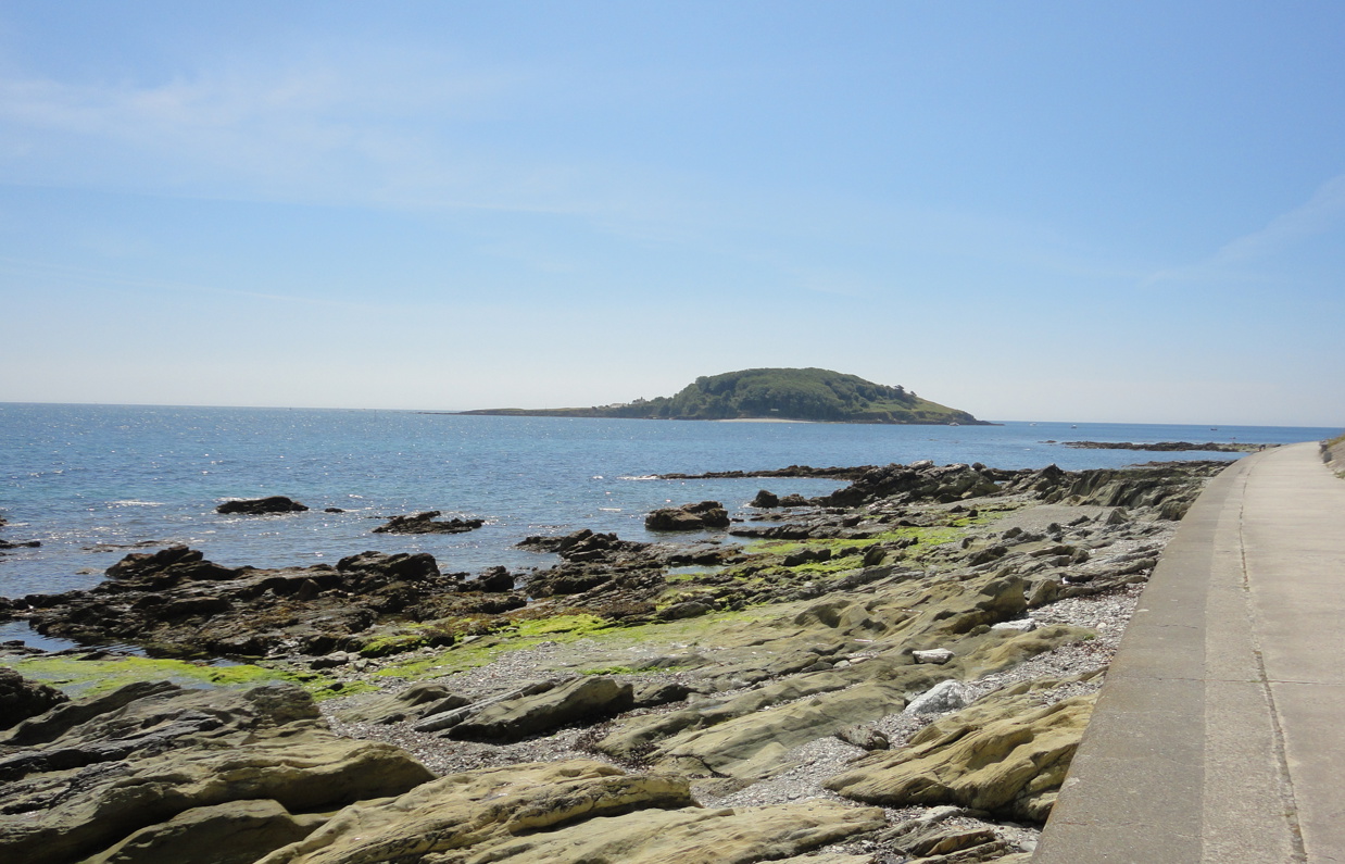 The view of Looe Island from Hannafore on a calm sunny day