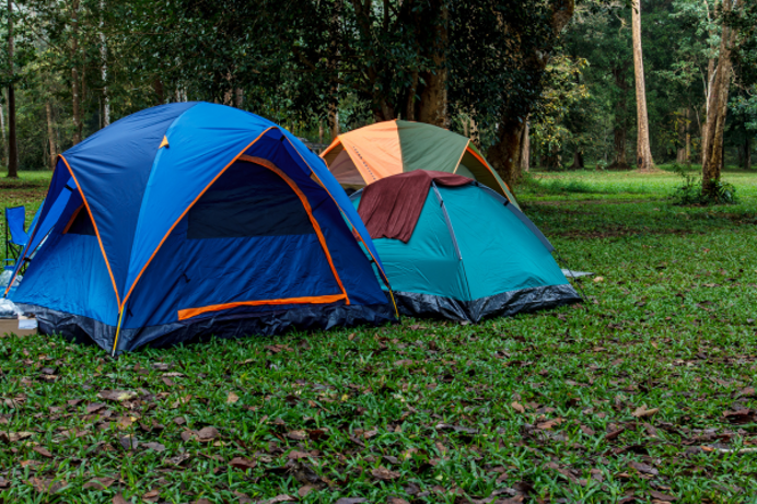 Camping tents in a field with surrounding trees