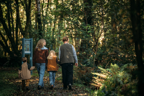 A family of four walking along a nature path among woodland in the sun