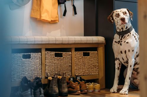 A dalmatian sat by the door of a lodge beside a bench with various shoes and walking gear