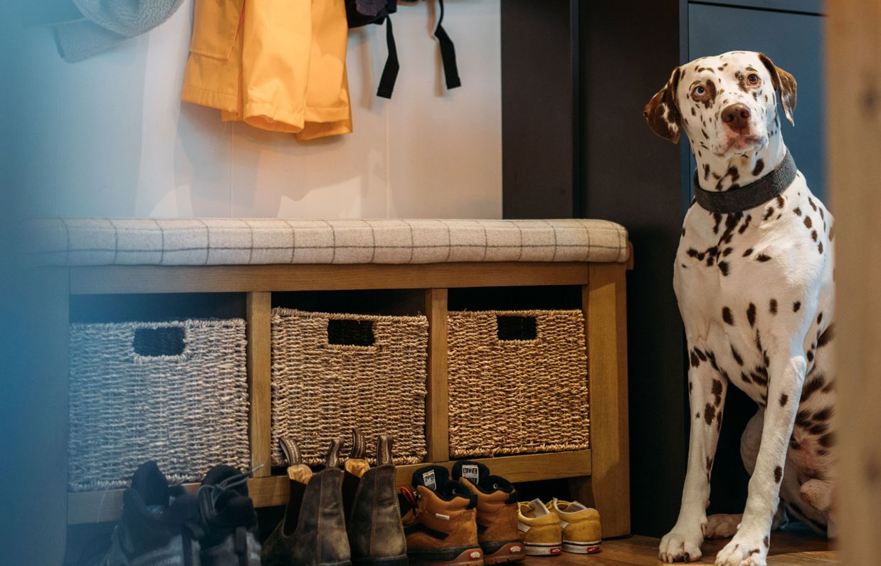 A dalmatian sat by the door of a lodge beside a bench with various shoes and walking gear