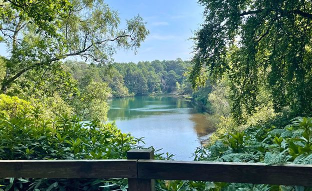 A lake surrounded by trees and woodland on a sunny blue sky day