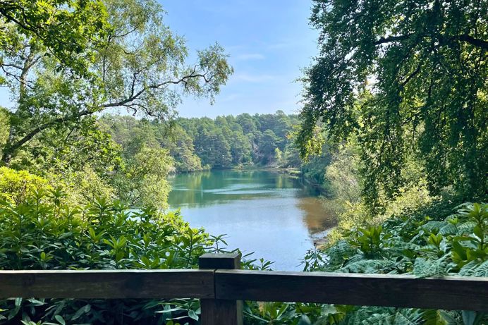 A lake surrounded by trees and woodland on a sunny blue sky day
