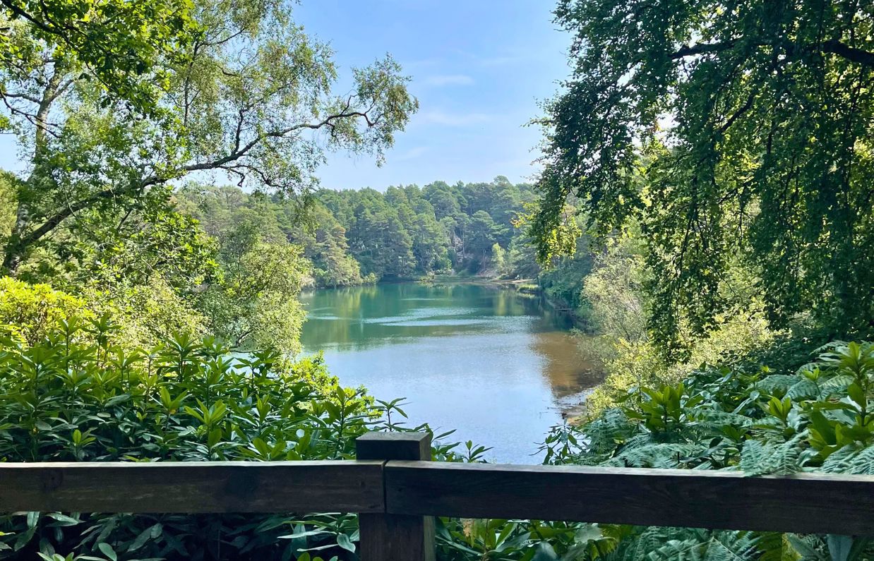 A lake surrounded by trees and woodland on a sunny blue sky day