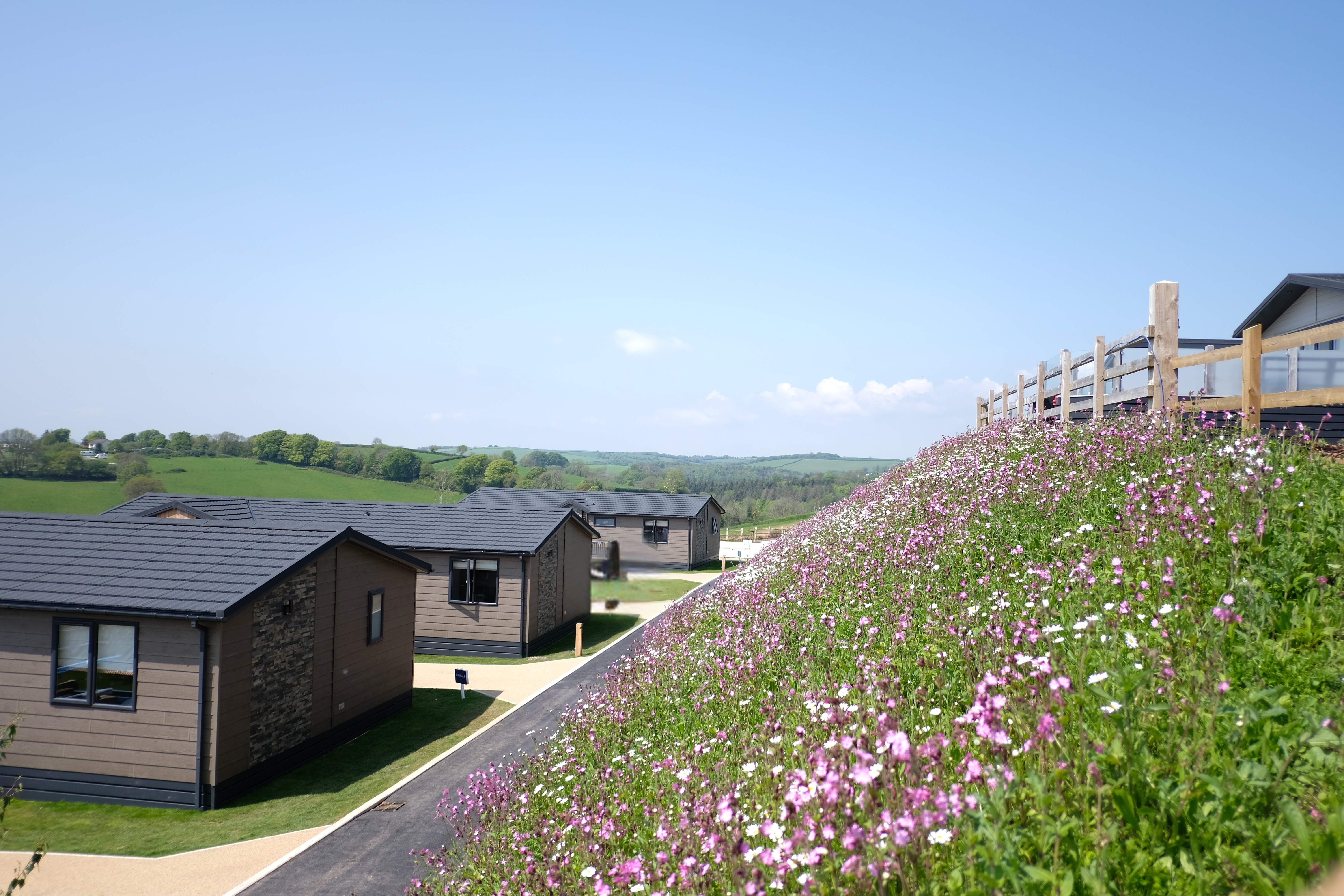 Samphire Cove Hero Image