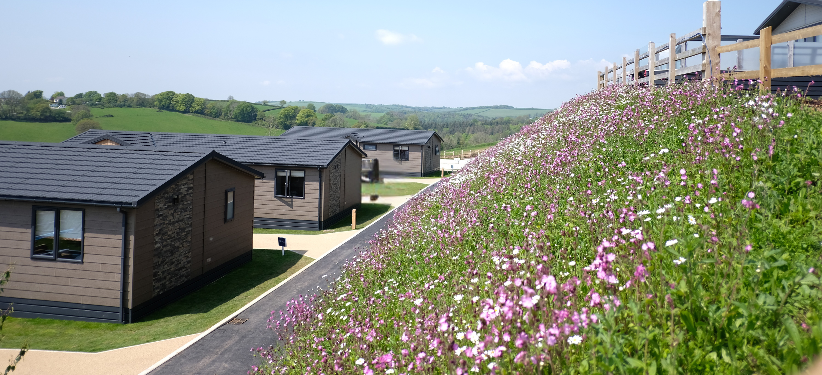 Samphire Cove Hero Image