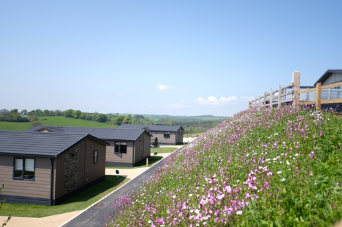 Samphire Cove Hero Image