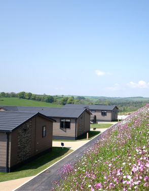 Samphire Cove Hero Image