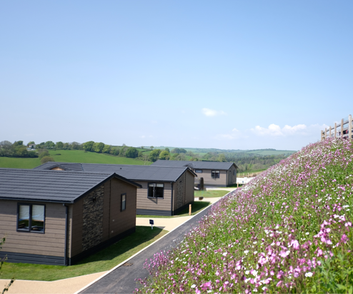 Samphire Cove Hero Image