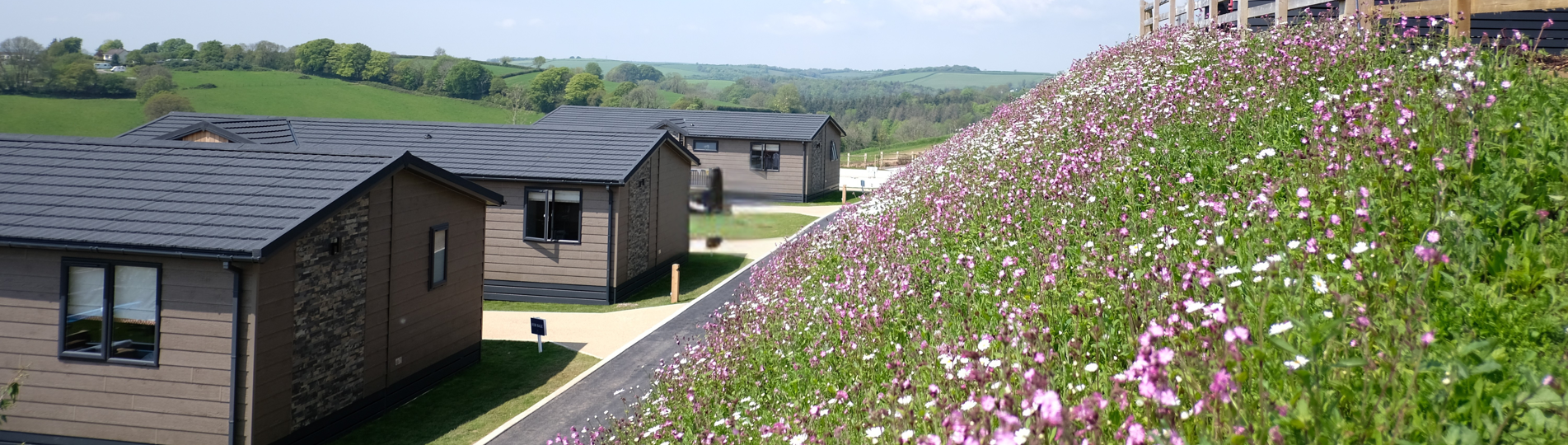 Samphire Cove Hero Image